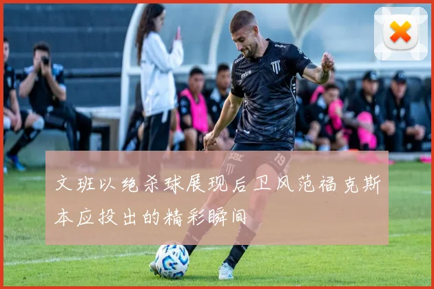文班以绝杀球展现后卫风范福克斯本应投出的精彩瞬间